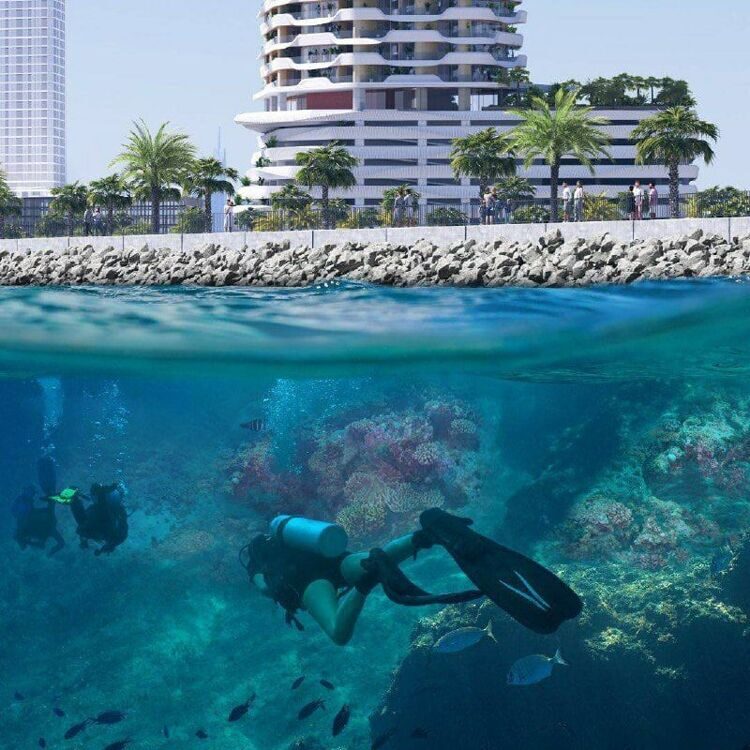 Coral Reef от DAMAC